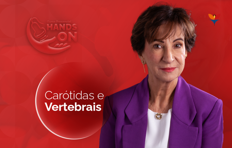 Cover of the Carotid and Vertebral Arteries Hands On